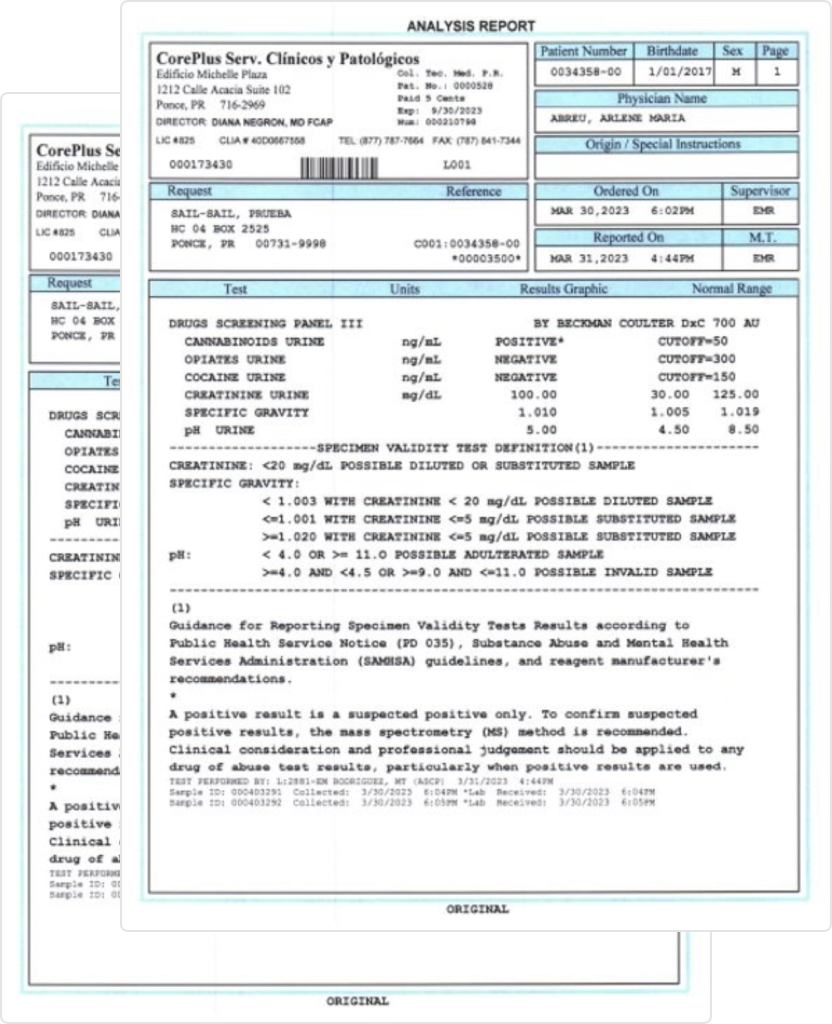 Sample of an Analysis Report document from CorePlus.